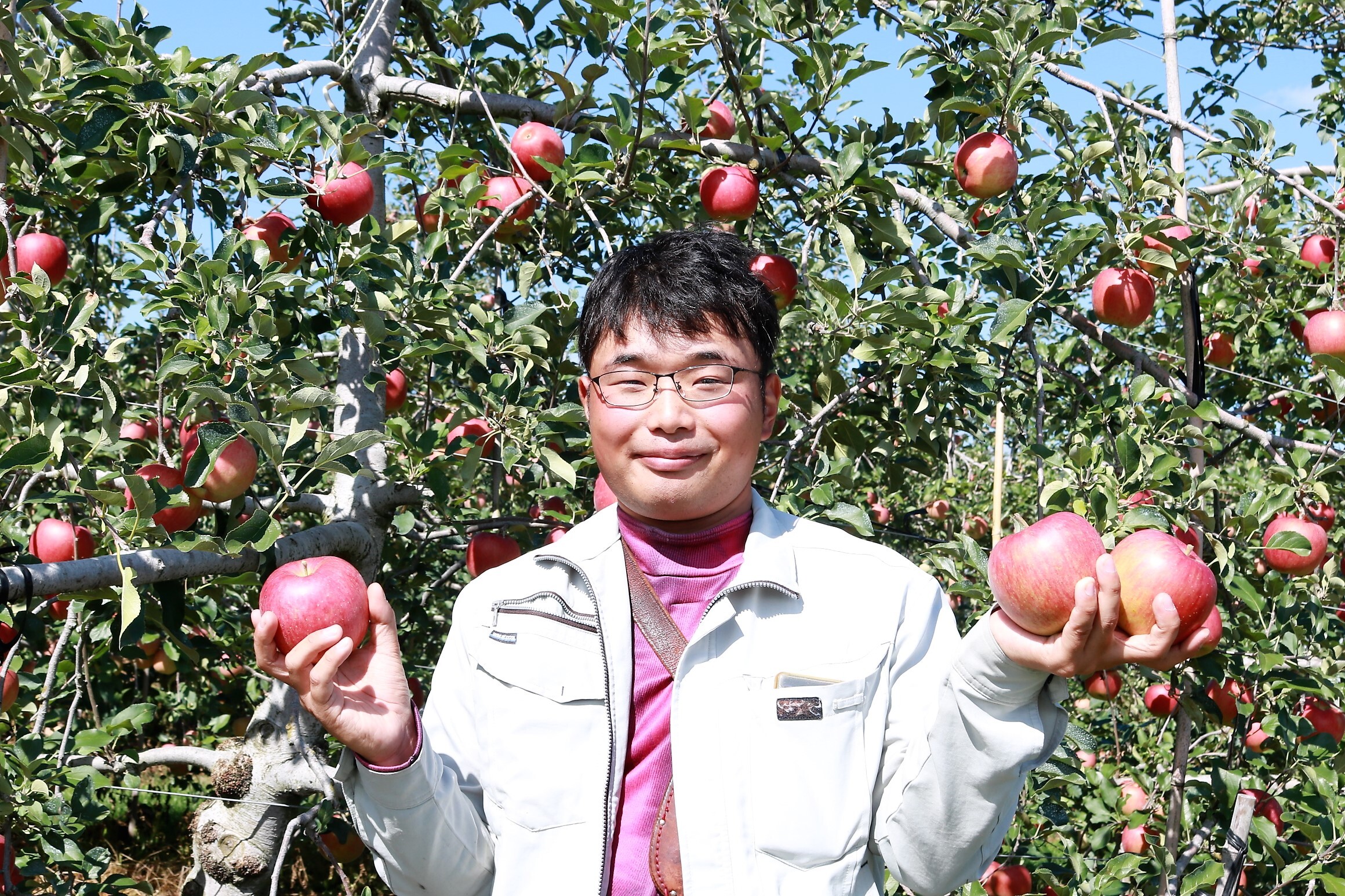 リンゴの産地を守っていきたいの写真(長野県佐久市)